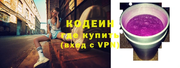 не бодяженный Иннополис