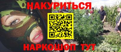 эйфоретик Кингисепп