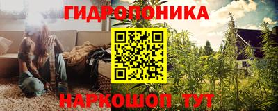 эйфоретик Кингисепп