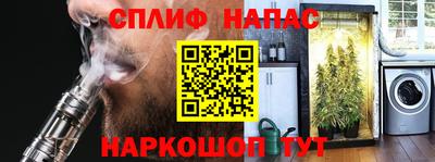 эйфоретик Кингисепп