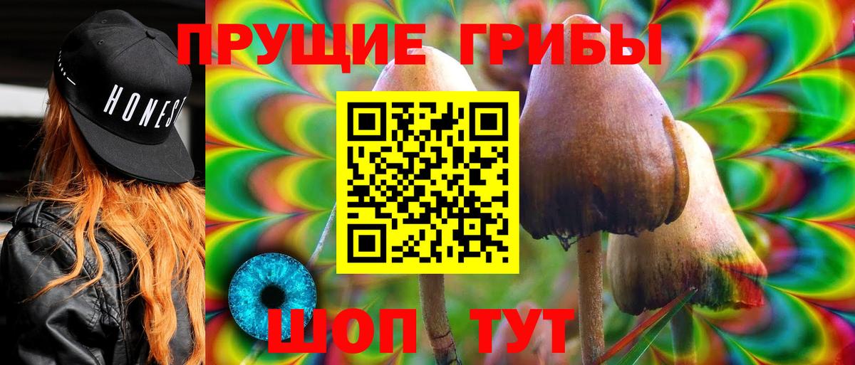 Галлюциногенные грибы прущие грибы Лабинск