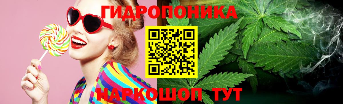 Бошки Шишки White Widow  Конопля план  Вход с VPN  Каннабис MAZAR  Лабинск 